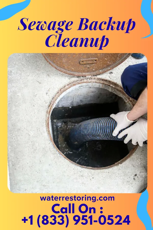 Sewage Backup Cleanup in Platte City, MO