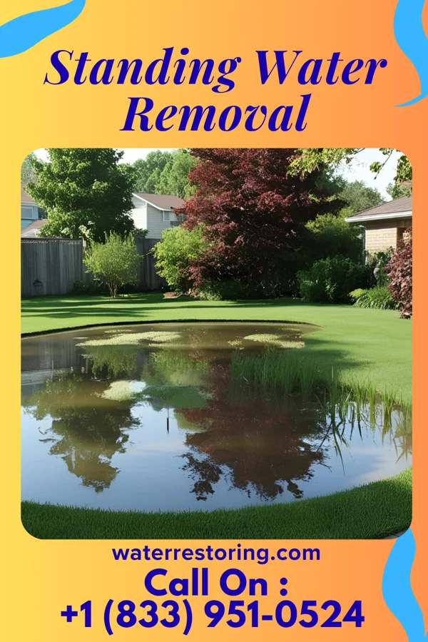 Standing Water Removal in Platte City, MO